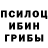Псилоцибиновые грибы мухоморы Freddy Miha