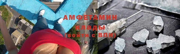 прущие грибы Абдулино
