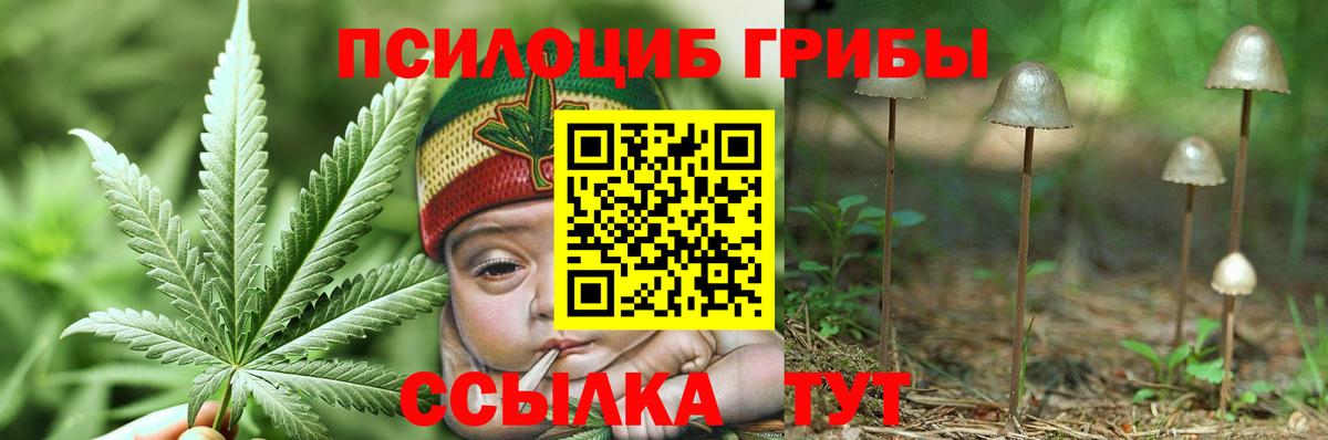 Азов  Галлюциногенные грибы GOLDEN TEACHER  Вход с VPN 